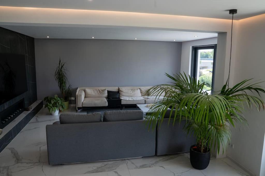 Luxury Loft With Pool Close To Munich 130qm Petershausen